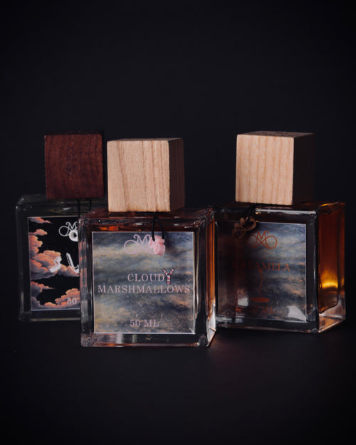 Discovery Box